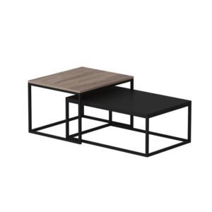 Lorido Center Table in Black and Brown Color Wooden Top