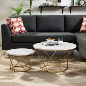 Ellie Metal Center Table in Golden Color with Round Wooden Top (Set-of 2)